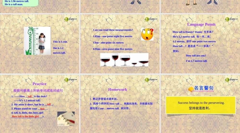 冀教初中英语七上《Lesson 15 Tall or Short》PPT课件 (3).ppt