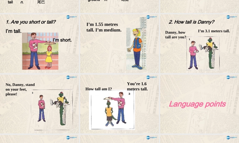 冀教初中英语七上《Lesson 15 Tall or Short》PPT课件 (4).ppt