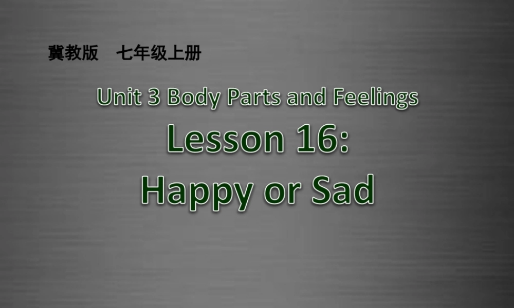 冀教初中英语七上《Lesson 16 Happy or Sad》PPT课件 (5).ppt