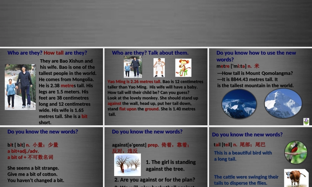 冀教初中英语七上《Lesson 15 Tall or Short》PPT课件 (5).ppt