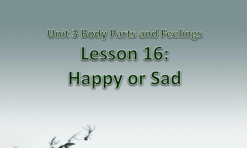 冀教初中英语七上《Lesson 16 Happy or Sad》PPT课件 (2).ppt