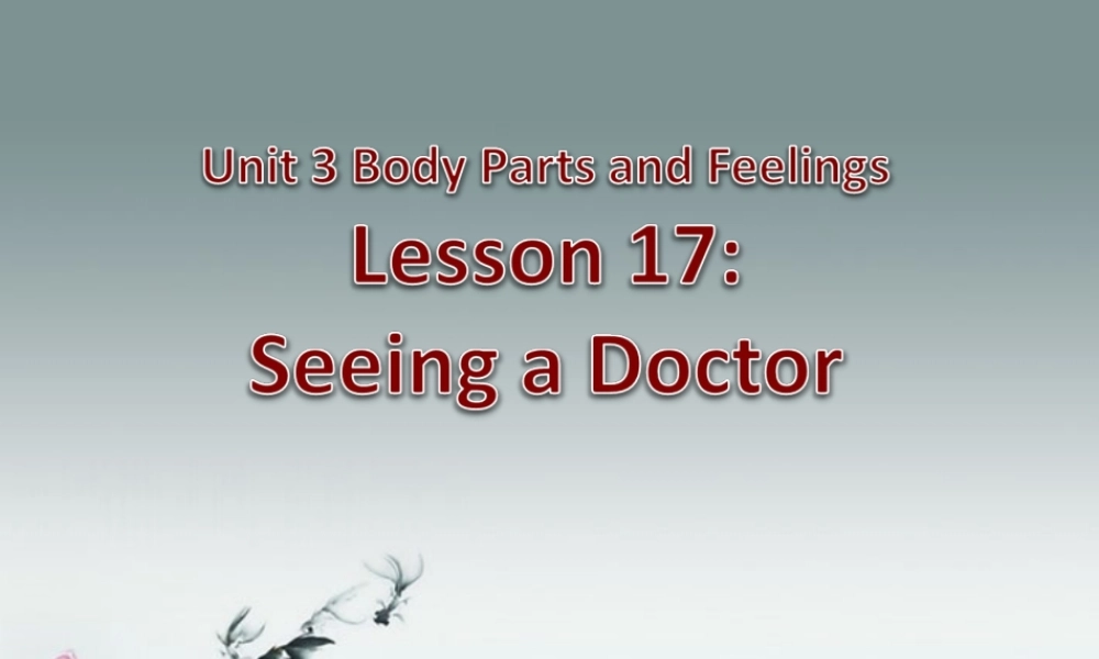 冀教初中英语七上《Lesson 17 Seeing a Doctor》PPT课件 (2).ppt