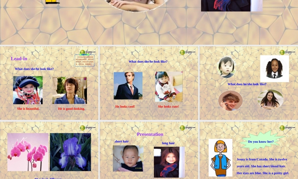 冀教初中英语七上《Lesson 18 We All Look Different!》PPT课件 (3).ppt