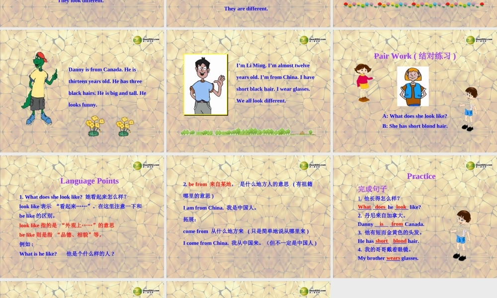 冀教初中英语七上《Lesson 18 We All Look Different!》PPT课件 (3).ppt