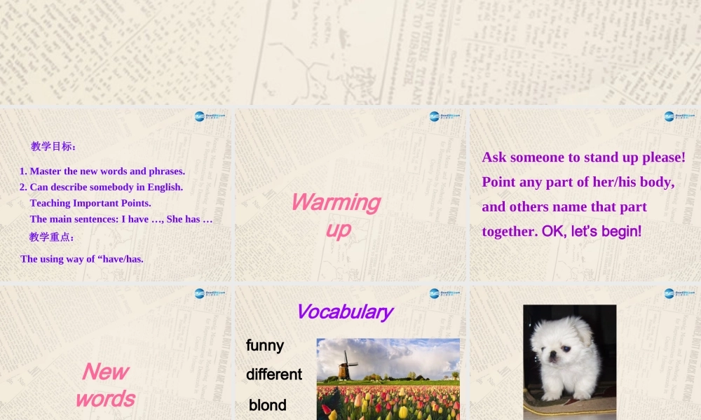 冀教初中英语七上《Lesson 18 We All Look Different!》PPT课件 (4).ppt