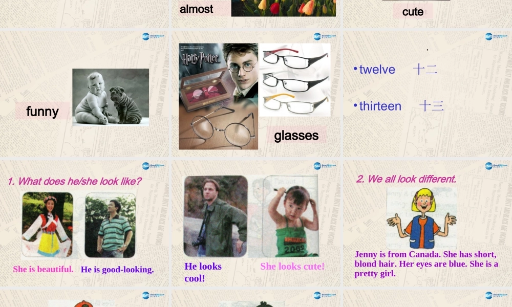 冀教初中英语七上《Lesson 18 We All Look Different!》PPT课件 (4).ppt