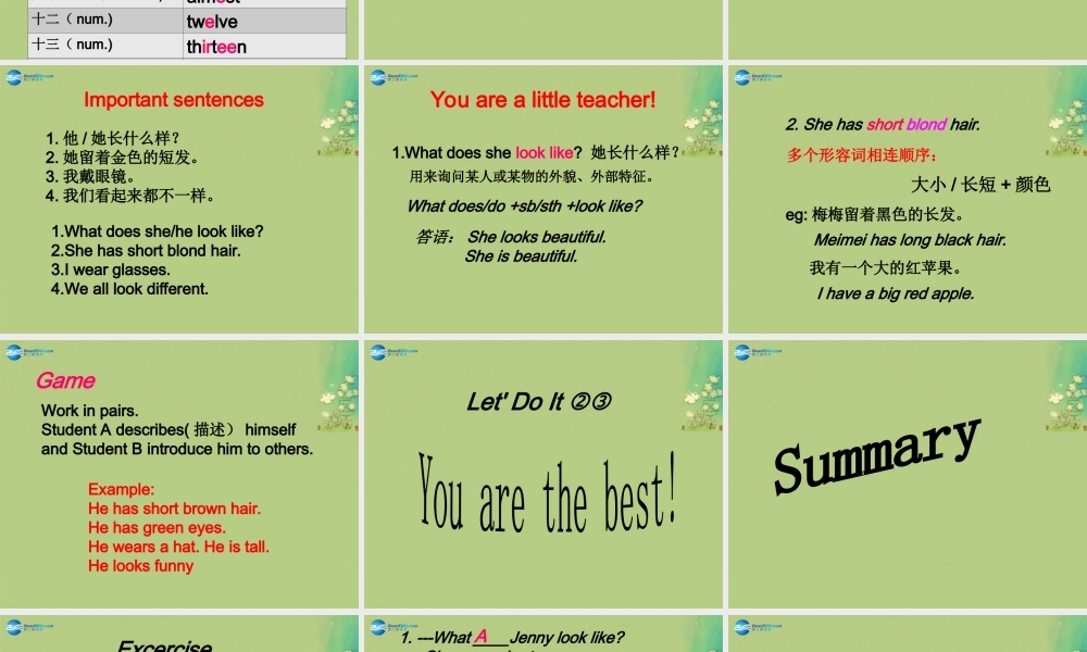 冀教初中英语七上《Lesson 18 We All Look Different!》PPT课件 (1).ppt