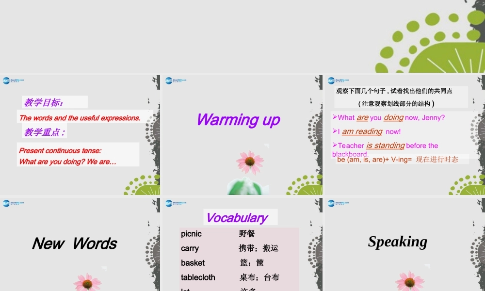 冀教初中英语七上《Lesson 28 A Family Picnic》PPT课件 (3).ppt