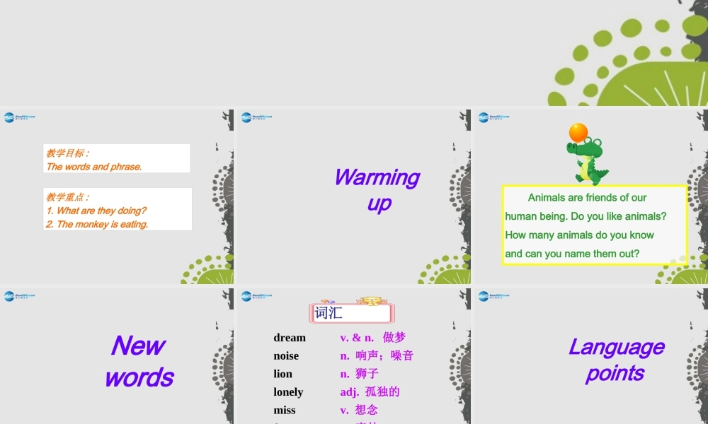 冀教初中英语七上《Lesson 33 Let's Go to the Zoo!》PPT课件 (3).ppt