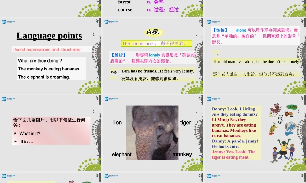 冀教初中英语七上《Lesson 33 Let's Go to the Zoo!》PPT课件 (3).ppt