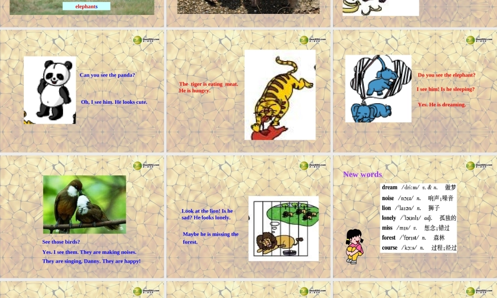 冀教初中英语七上《Lesson 33 Let's Go to the Zoo!》PPT课件 (2).ppt