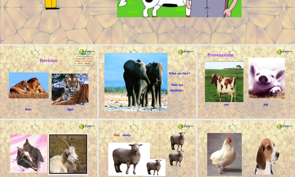 冀教初中英语七上《Lesson 34 On the Farm》PPT课件 (2).ppt