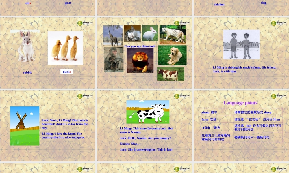 冀教初中英语七上《Lesson 34 On the Farm》PPT课件 (2).ppt