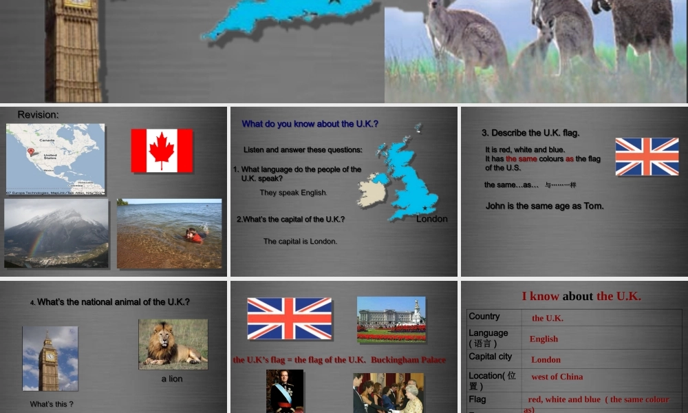 冀教初中英语七上《Lesson 47 The U.K. and Australia》PPT课件 (3).ppt