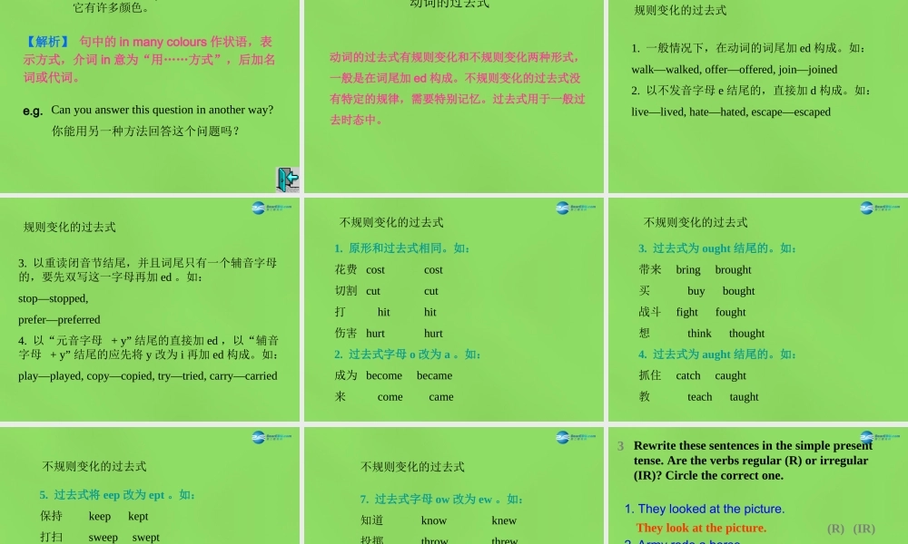 冀教初中英语七下《Lesson 9 Danny's School Project》PPT课件 (2).ppt