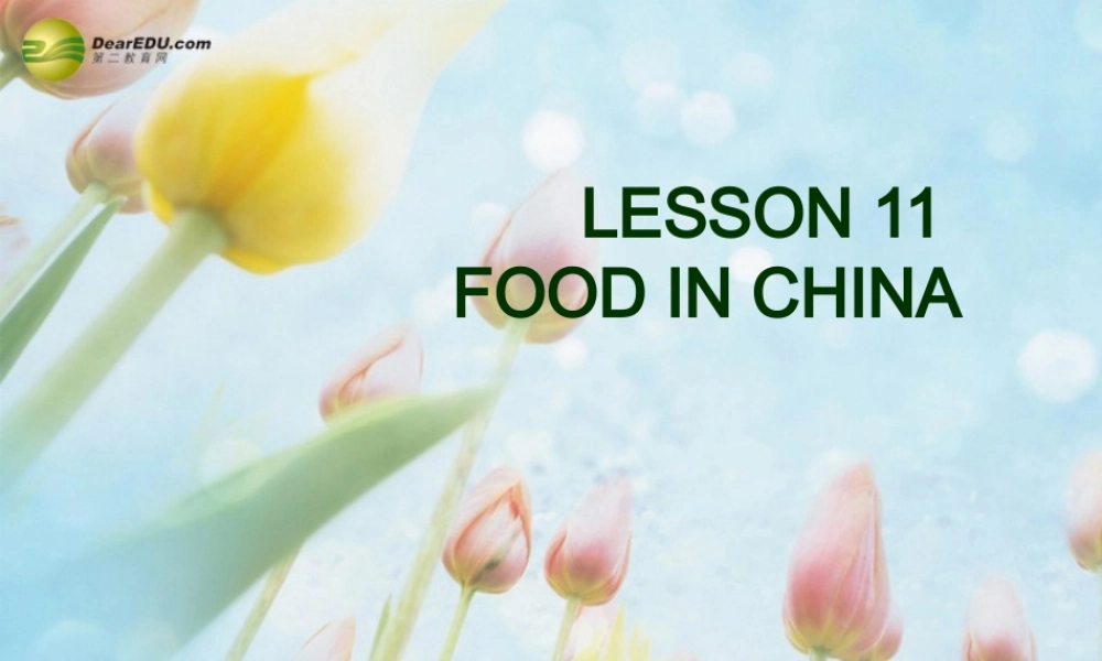 冀教初中英语七下《Lesson 11 Food in China》PPT课件 (1).ppt