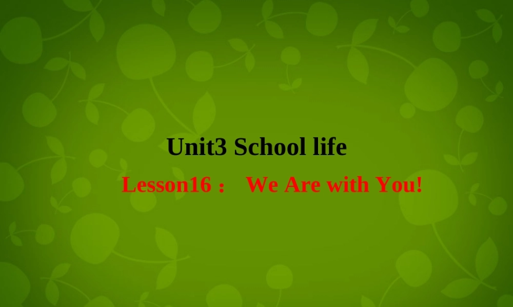 冀教初中英语七下《Lesson 16 We Are with You!》PPT课件 (3).ppt