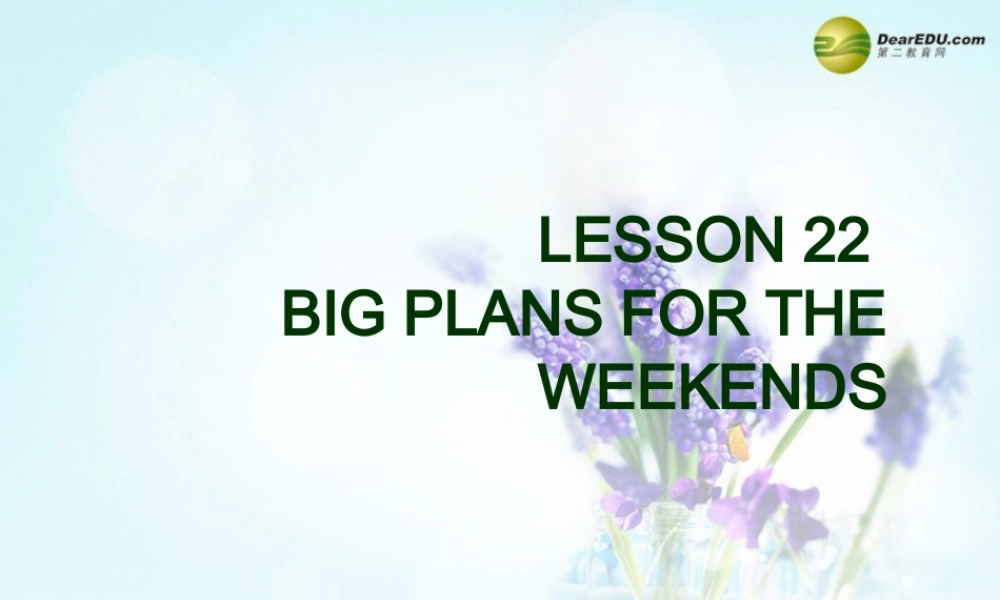 冀教初中英语七下《Lesson 22 Big Plans for the Weekend》PPT课件 (1).ppt