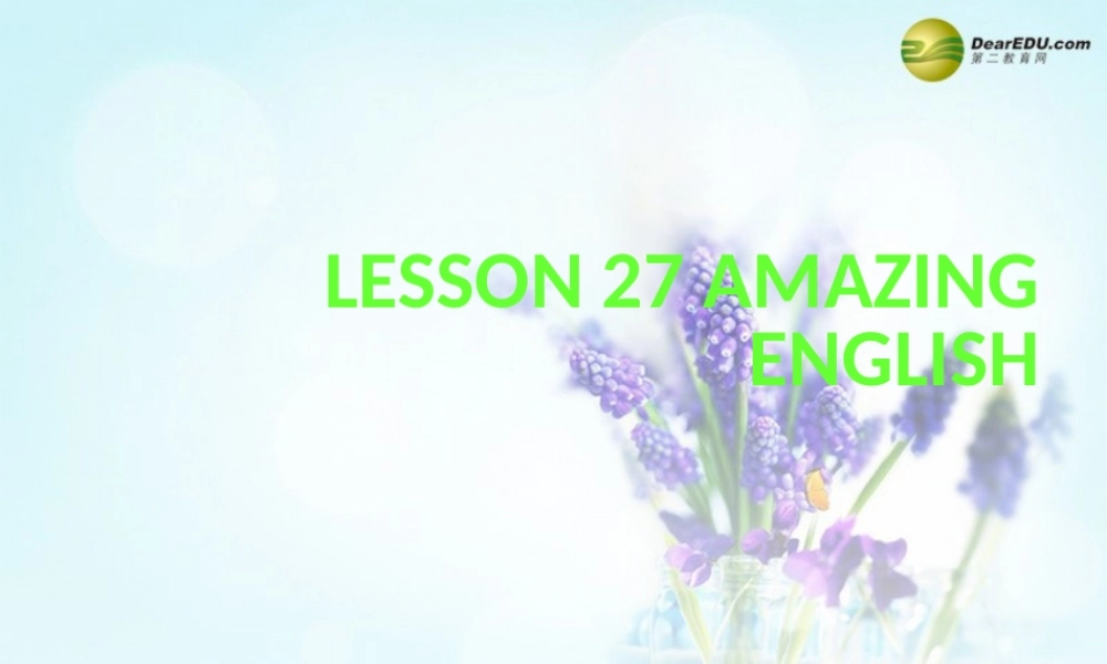 冀教初中英语七下《Lesson 27 Amazing English》PPT课件 (3).ppt