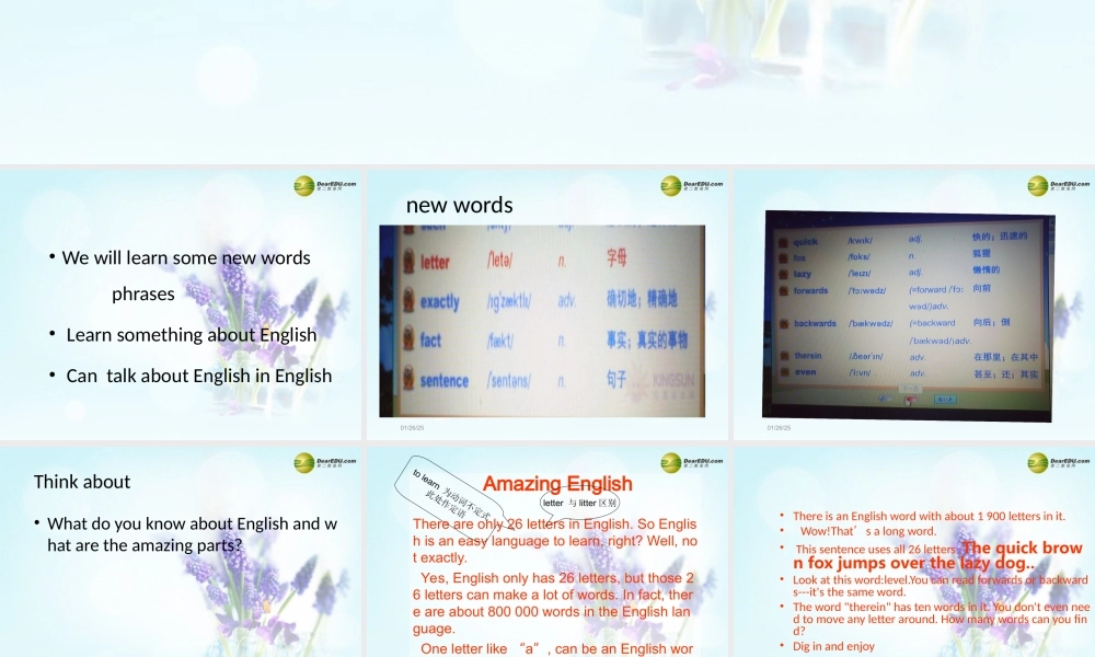 冀教初中英语七下《Lesson 27 Amazing English》PPT课件 (3).ppt