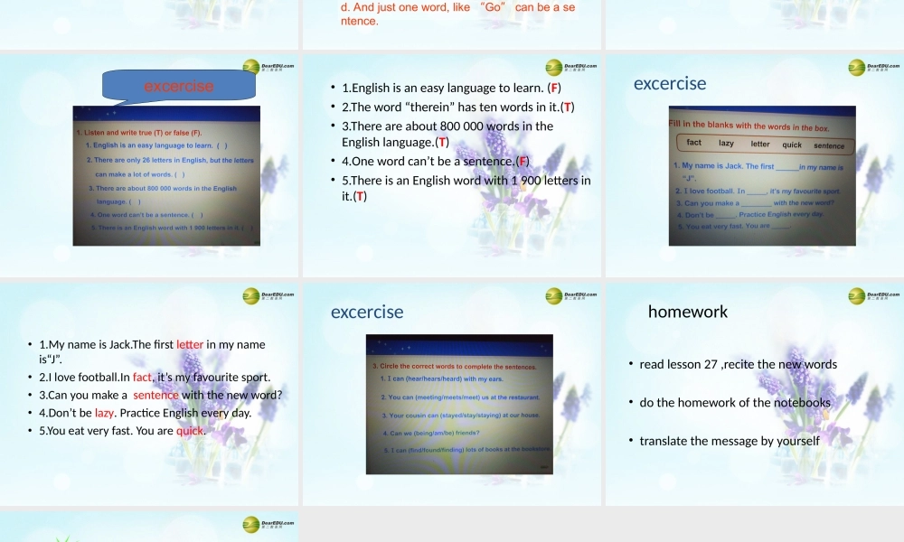 冀教初中英语七下《Lesson 27 Amazing English》PPT课件 (3).ppt