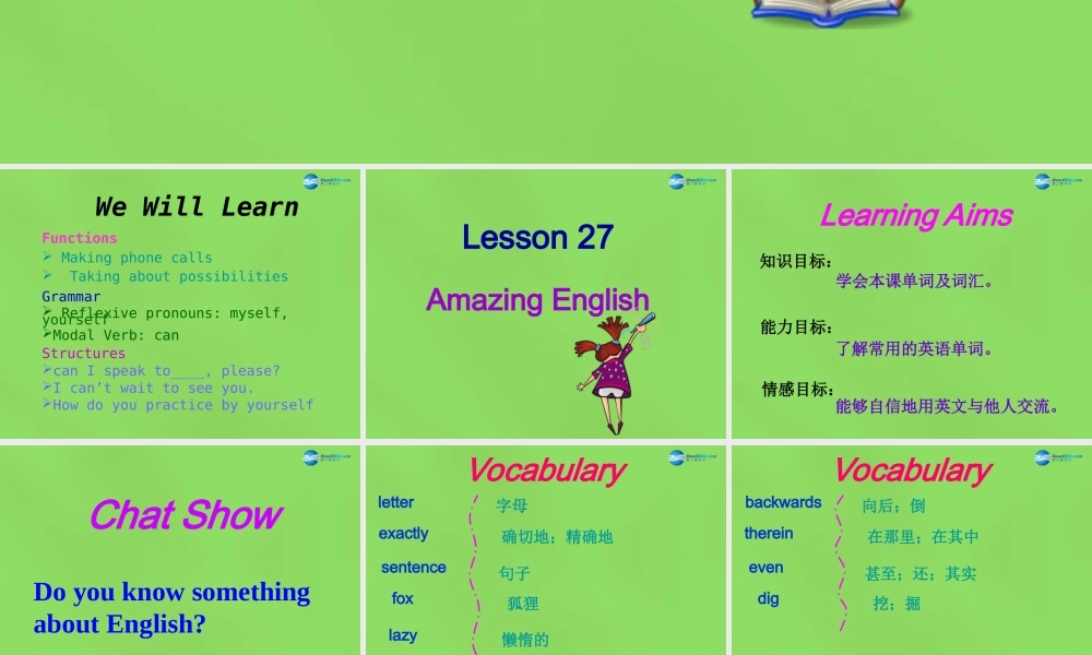 冀教初中英语七下《Lesson 27 Amazing English》PPT课件 (5).ppt