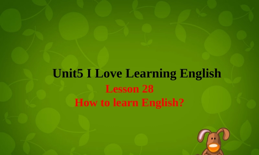 冀教初中英语七下《Lesson 28 How Do I Learn English》PPT课件 (6).ppt