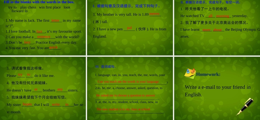 冀教初中英语七下《Lesson 30 Writing an E-mail in English》PPT课件 (5).ppt