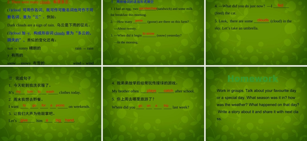 冀教初中英语七下《Lesson 34 Steven's Report》PPT课件 (5).ppt