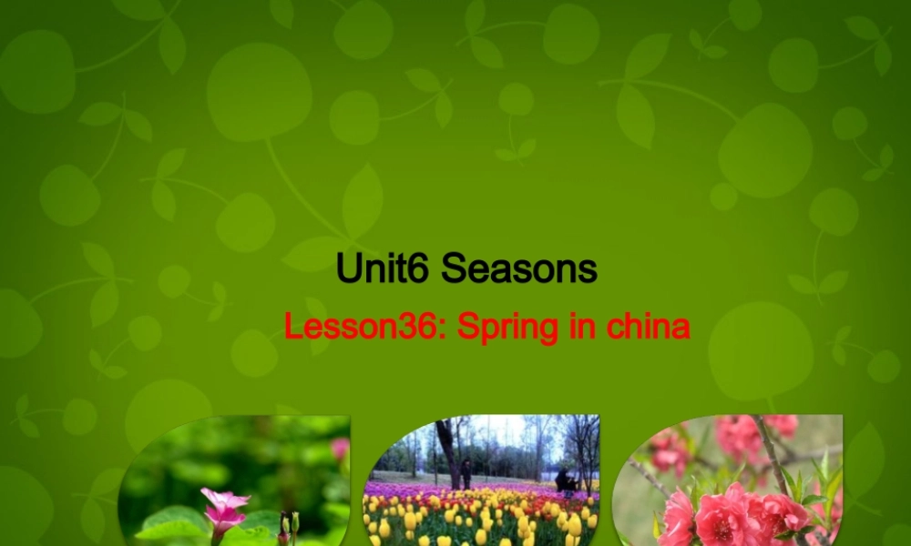 冀教初中英语七下《Lesson 36 Spring in China》PPT课件 (5).ppt