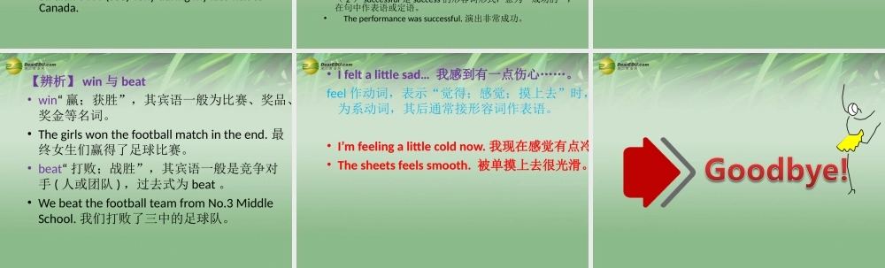 冀教初中英语七下《Lesson 39 Danny's Report》PPT课件 (3).ppt