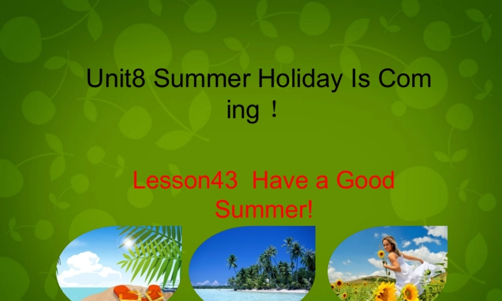 冀教初中英语七下《Lesson 43 Have a Good Summer!》PPT课件 (5).ppt
