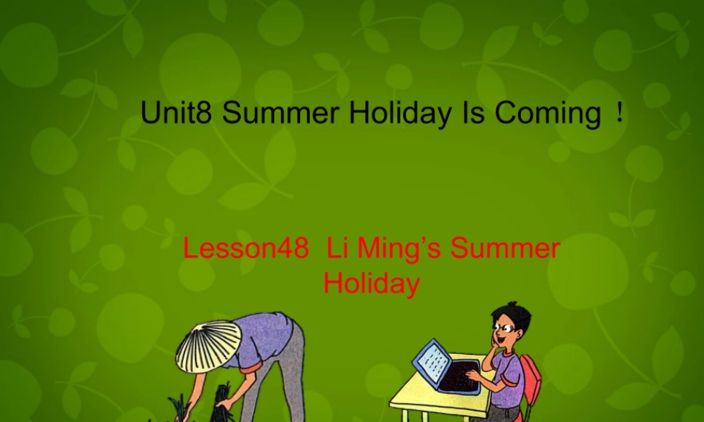 冀教初中英语七下《Lesson 48 Li Ming's Summer Holiday》PPT课件 (5).ppt