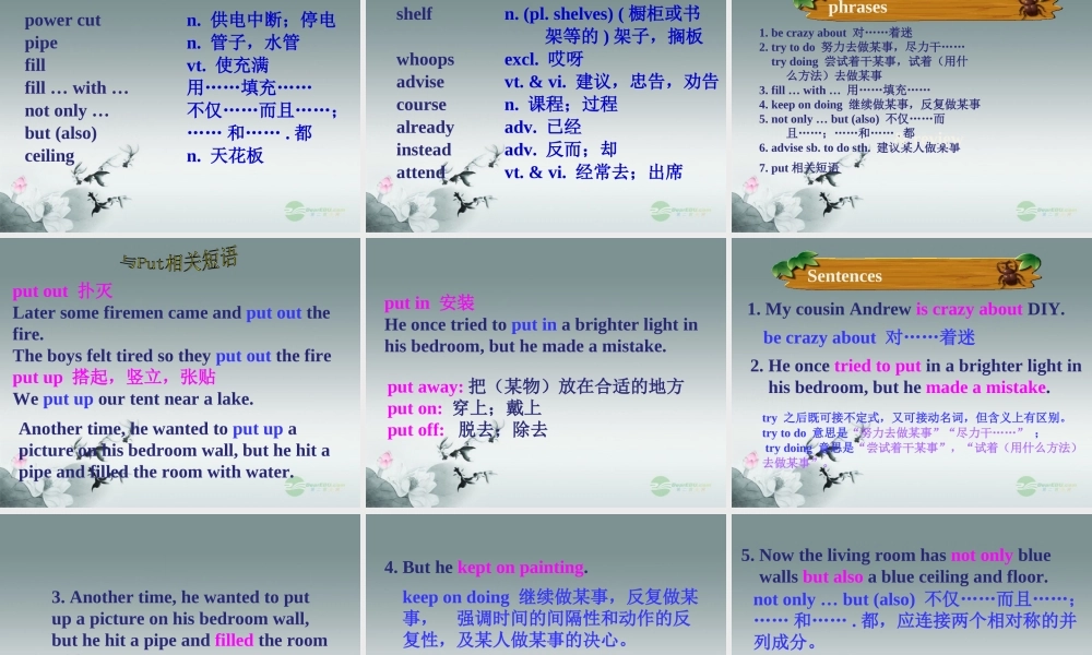 江苏省八年级英语上册 Unit 4 Do it yourself Reading 2课件.ppt