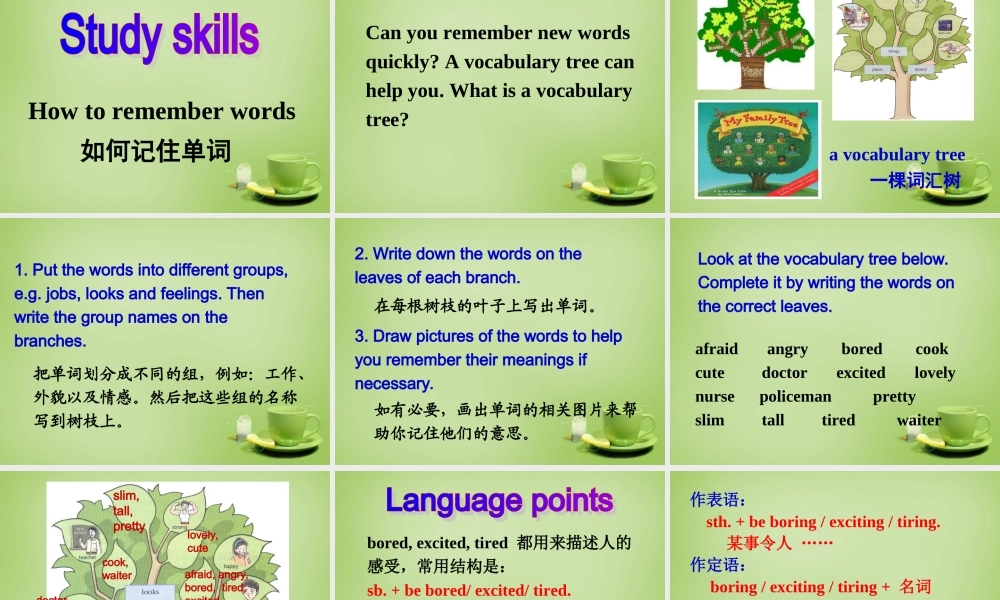 江苏省东海县横沟中学八年级英语上册 Unit 1 Friend Integrated skills B & Study skills课件.ppt