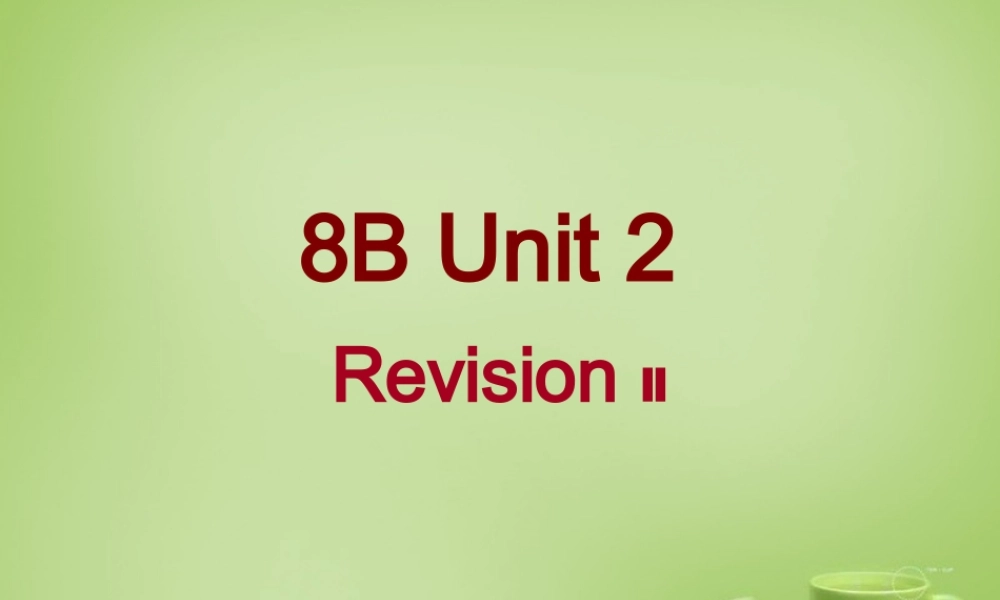 江苏省东海县横沟中学八年级英语下册 Unit 2 Travelling revision课件 .ppt