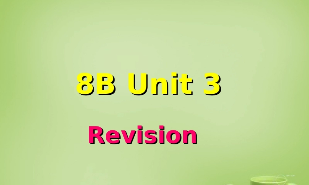 江苏省东海县横沟中学八年级英语下册 Unit 3 Online tours Revision课件 .ppt