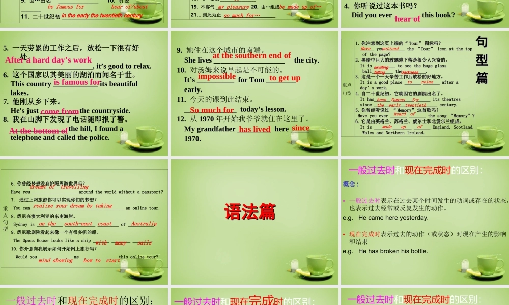 江苏省东海县横沟中学八年级英语下册 Unit 3 Online tours Revision课件 .ppt