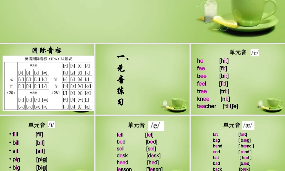 江苏省东海县横沟中学七年级英语上册 Unit 1 This is me音标课件 .ppt