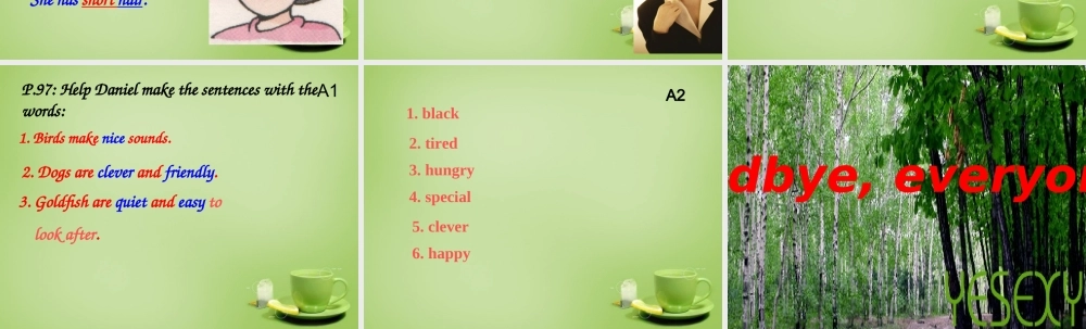 江苏省东海县横沟中学七年级英语下册 Unit 8 Pets Grammar课件 .ppt