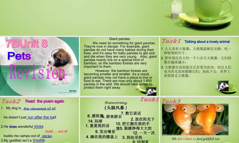 江苏省东海县横沟中学七年级英语下册 Unit 8 Pets revision课件 .ppt