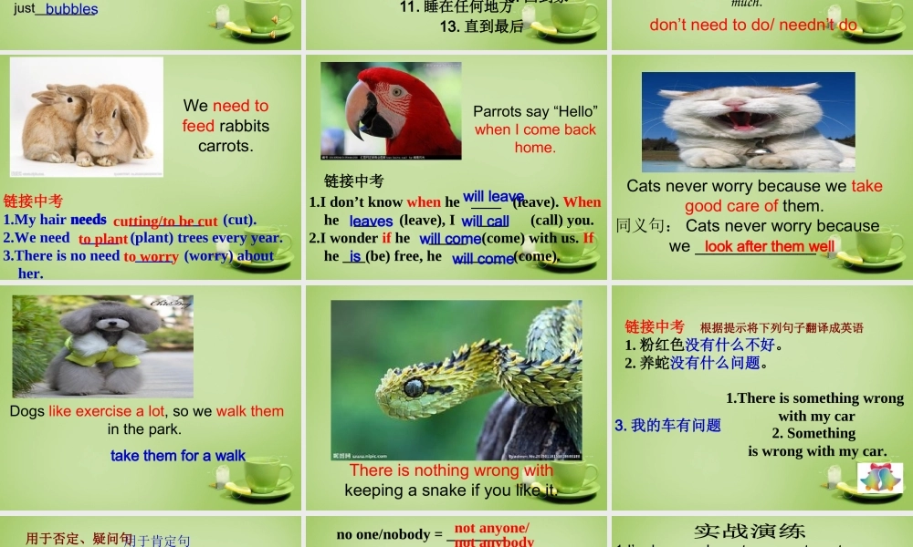 江苏省东海县横沟中学七年级英语下册 Unit 8 Pets revision课件 .ppt