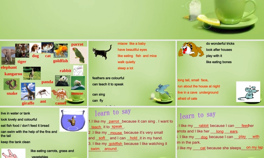 江苏省建湖县上冈实验初级中学七年级英语下册《Unit 8 Pets》课件1 .ppt