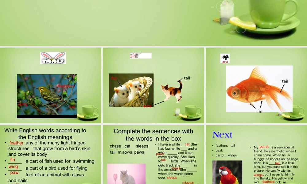 江苏省建湖县上冈实验初级中学七年级英语下册《Unit 8 Pets》课件3 .ppt