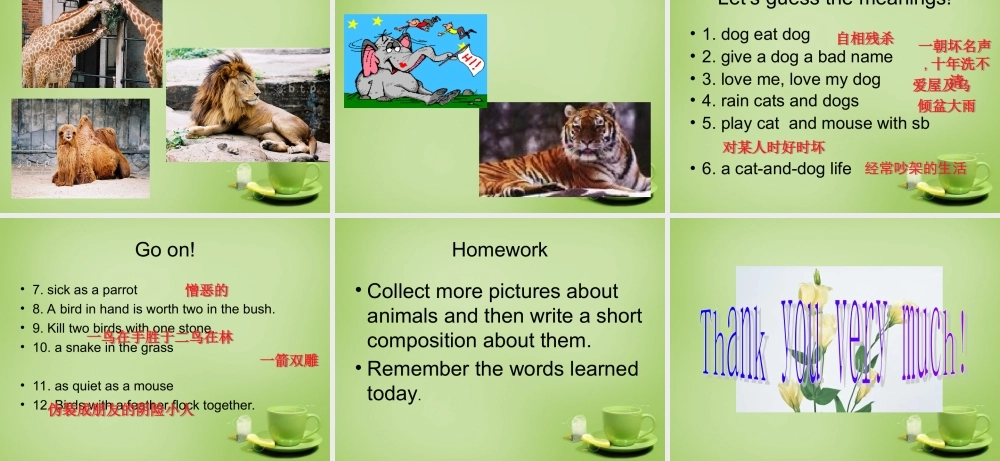 江苏省建湖县上冈实验初级中学七年级英语下册《Unit 8 Pets》课件3 .ppt