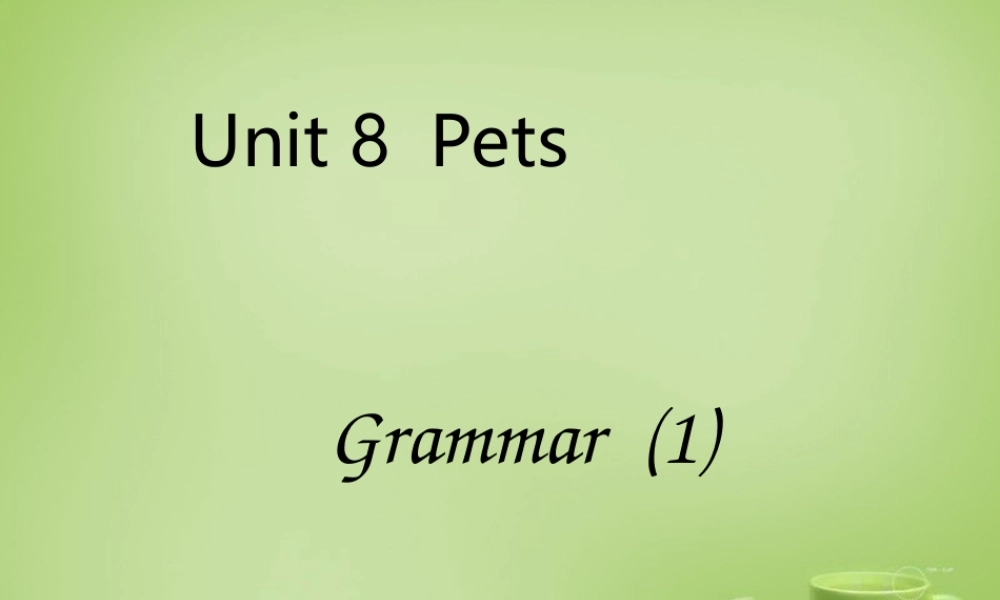 江苏省建湖县上冈实验初级中学七年级英语下册《Unit 8 Pets》课件4 .ppt