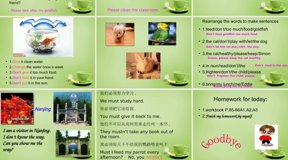 江苏省建湖县上冈实验初级中学七年级英语下册《Unit 8 Pets》课件4 .ppt