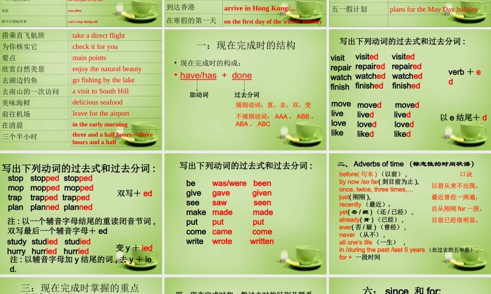 江苏省姜堰区叶甸初级中学八年级英语下册 Unit 2 Travelling复习课件 .ppt