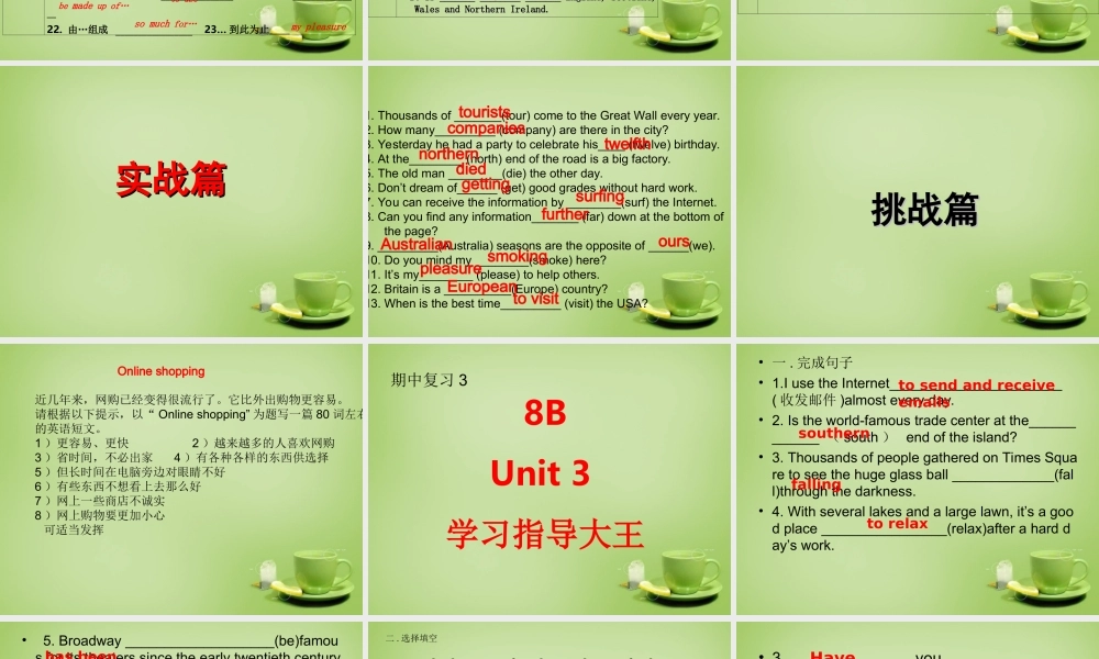 江苏省姜堰区叶甸初级中学八年级英语下册 Unit 3 Online tours复习课件 .ppt