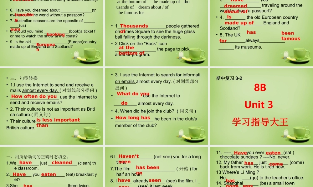 江苏省姜堰区叶甸初级中学八年级英语下册 Unit 3 Online tours复习课件 .ppt